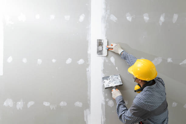 Professional Mold Removal in Bayfield, CO