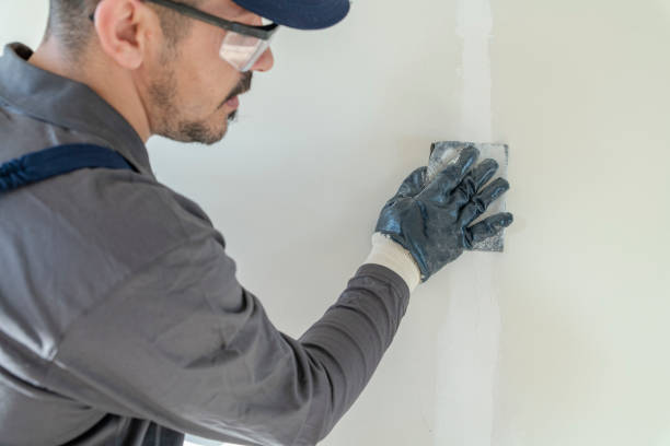 Best Post-Construction Mold Inspection  in Bayfield, CO