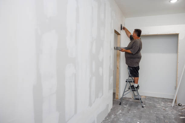 Best Mold Odor Removal Services  in Bayfield, CO