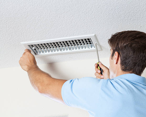 Best Mold Damage Restoration  in Bayfield, CO