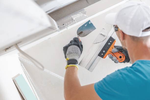  Bayfield, CO Mold Removal Pros